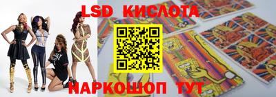 индика Партизанск