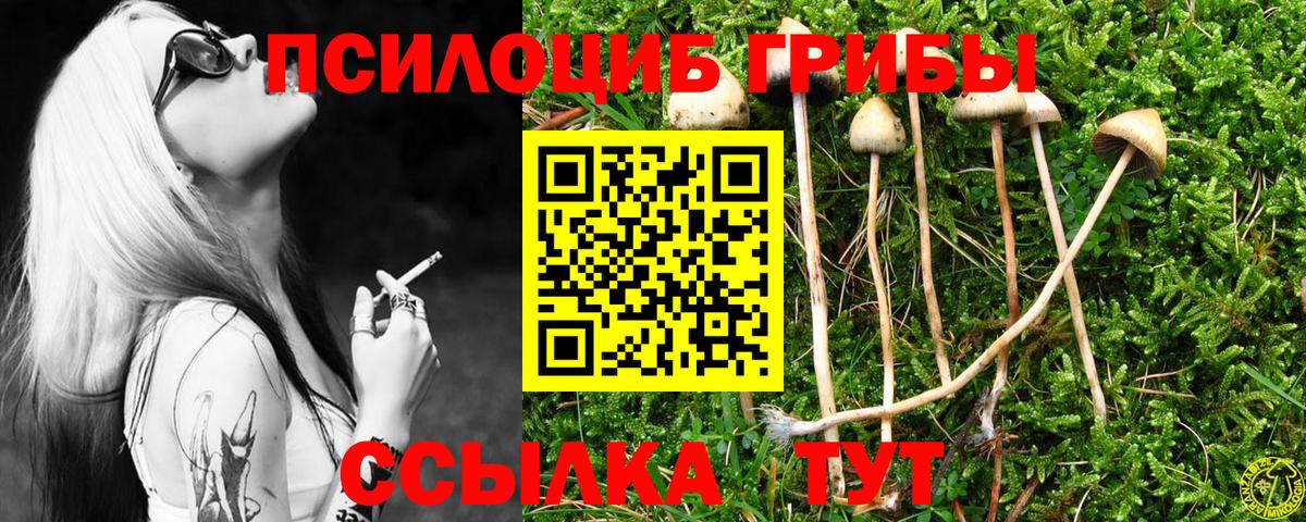 Псилоцибиновые грибы Cubensis  Вход с VPN  Сатка 
