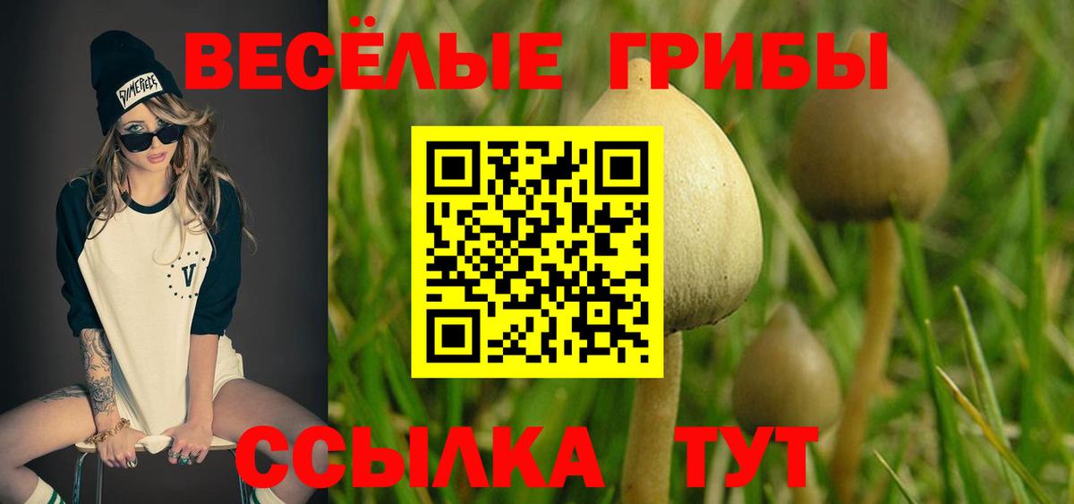 Псилоцибиновые грибы прущие грибы Сатка